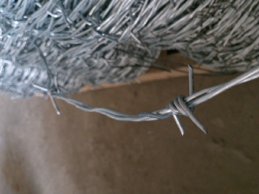 帶刺鐵絲網(wǎng)圍欄 帶刺鐵絲網(wǎng)圍欄