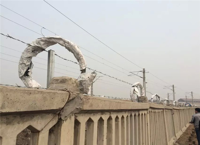 刺繩圍欄網(wǎng) 刺繩圍欄網(wǎng)