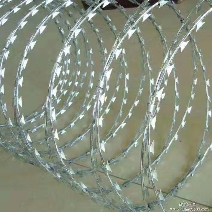 mmexport1517968908193.jpg mmexport1517968908193.jpg