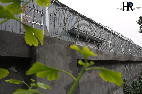 河北刀片刺繩廠家 河北刀片刺繩廠家